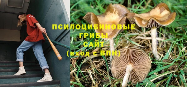 первитин Заволжье