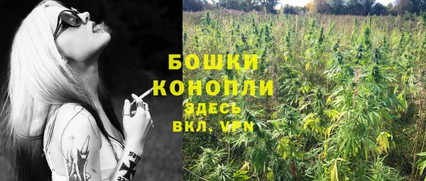 бошки Заводоуковск