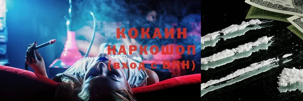 бошки Заводоуковск