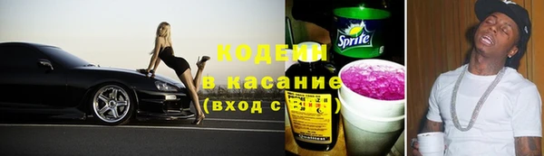 бошки Заводоуковск