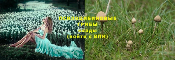 бошки Заводоуковск