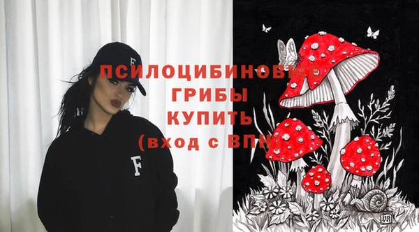 бошки Заводоуковск