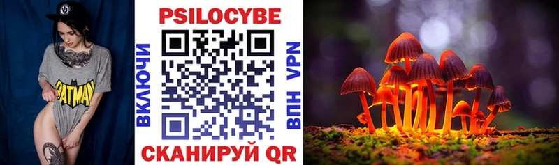 Купить где  Стрежевой  Псилоцибиновые грибы прущие грибы 